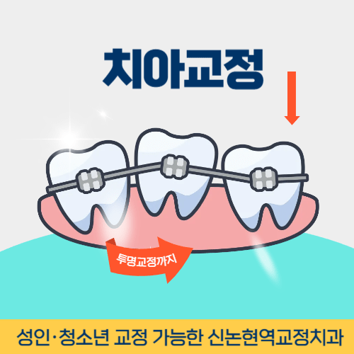 서울치과 서울특별시 치과 치아교정